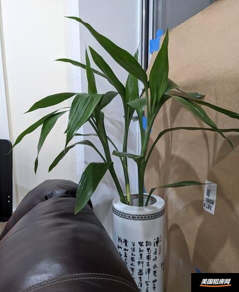 租房缩略图