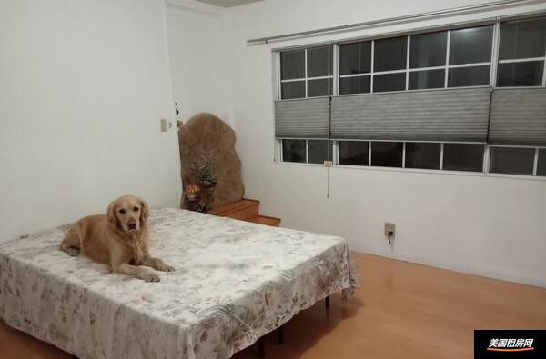 租房缩略图